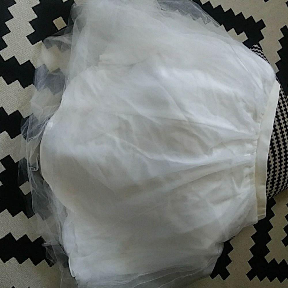 Charlotte Russe+ TUTU Skirt